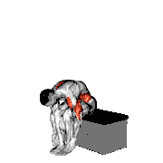 Sitting Shoulder Press Toe Touch on a Padded Stool