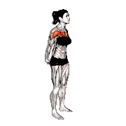 Chest Out Hands Behind (Hold)