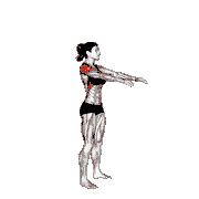 Standing Arms Circling