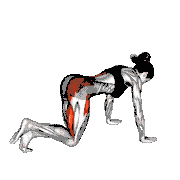 Bent Knee Back to Side Kick
