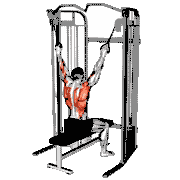 Cable Twin Handle Parallel Grip Lat Pulldown
