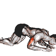 Bodyweight Kneeling Triceps Extension