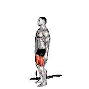 Bodyweight Standing Sissy Squat