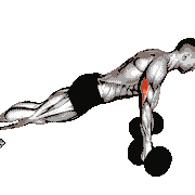Dumbbell Reverse Push-Up