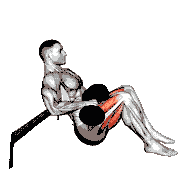 Dumbbell Hip Thrust