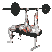 Barbell Pullover-to-Press