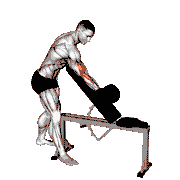 Dumbbell Standing One-Arm Curl Over Incline Bench