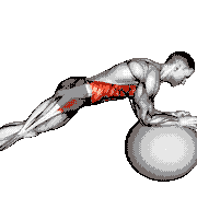 Stability Ball Front Plank