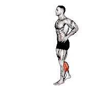 Bodyweight Walking Calf Raise