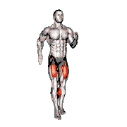 Alternate Front Kick in Place demonstration