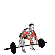 Snatch High Pull
