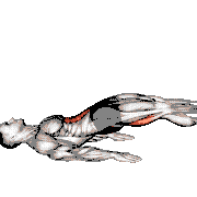 Ring Straight Hip Leg Curl