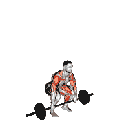 Power Clean Thruster