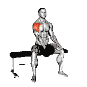 Dumbbell Seated Single-Arm Front Raise demonstration