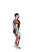 Single Leg Box Jump