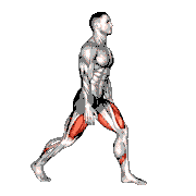 Split Squats
