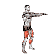 Full Squat Mobility
