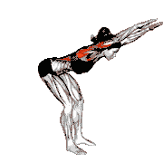 Stationary Arms Throw