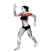 Quickly Swing Arms in Place
