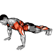 Modified Hindu Push-Up