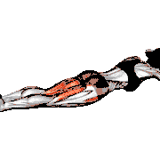 Lying Leg Abduction