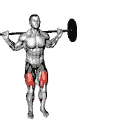Barbell Lateral Lunge demonstration