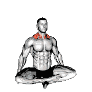 Seated Neck Side Stretch