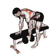 Dumbbell Bent-Over Scapula Row
