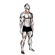 Backward Forward Turn to Side Neck Stretch demonstration