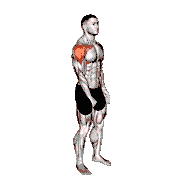 Dumbbell One-Arm Front Raise