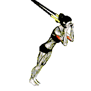 Suspender Triceps Extension demonstration