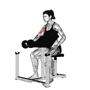 Dumbbell Single-Arm Preacher Curl