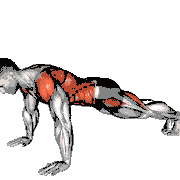 Bodyweight Front Plank to Downward Dog