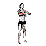 Wrist Extensor Stretch demonstration