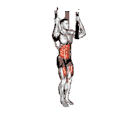 Arm Slingers Hanging Straight Legs demonstration