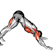 Pike to Cobra Push-Up