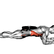 Weighted Front Plank demonstration
