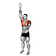 Arms Up and Down demonstration