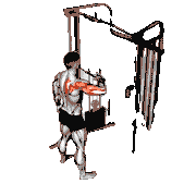 Cable Rear Drive