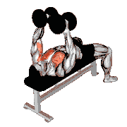 Dumbbell Single-Arm Alternate Fly