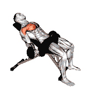 Dumbbell Incline Low Fly