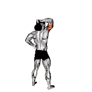 Kettlebell Standing One-Arm Extension