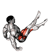 Scissors (Advanced)