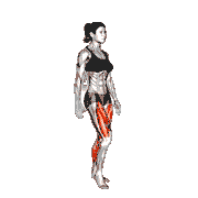 Walk demonstration