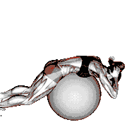 Exercise Ball Back Extension with Hands Behind Head