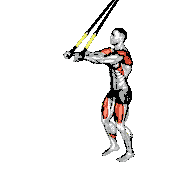 Suspender Forward Lunge with Rear Fly