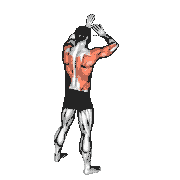 Wall Press and Twist demonstration