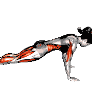 Four Limbed Staff