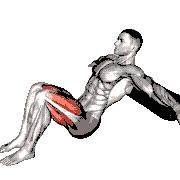 Hip Thrusts