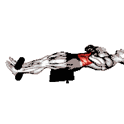 Roman Chair Sit-Up